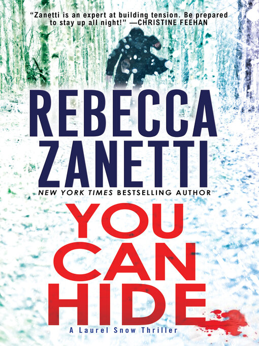 Cover image for You Can Hide